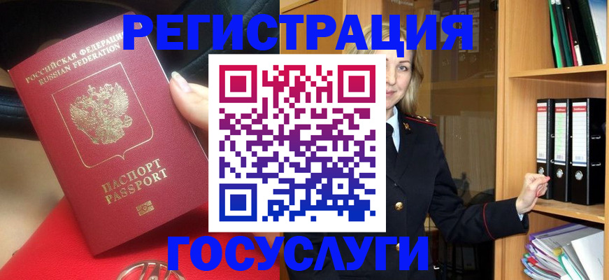 прописка поиск в Нелидово
